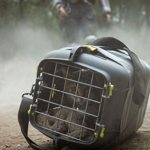 Foto Apocalipsis Z: El principio del fin