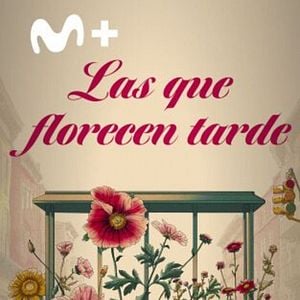 Foto Las que florecen tarde