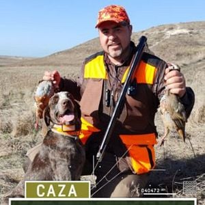 Foto Perdices en Los Torozos