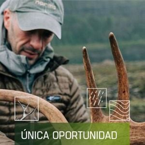 Foto Única oportunidad