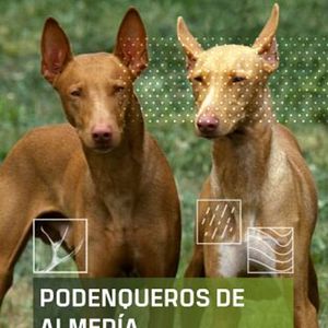 Foto Podenqueros de Almería