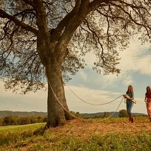 Foto Regreso a Las Sabinas