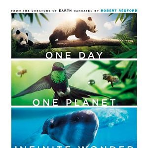 Foto Earth: One Amazing Day