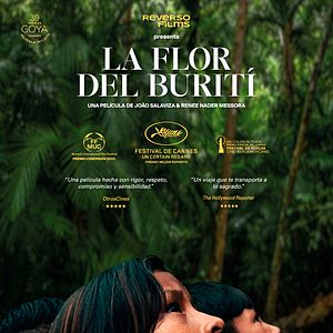 Foto La flor del Burití