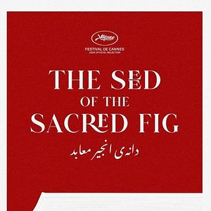 Foto La semilla de la higuera sagrada