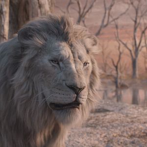 Foto Mufasa: El rey león