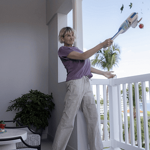 Foto Las cuatro estaciones