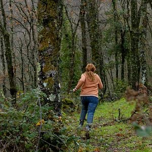 Foto El cuco de cristal