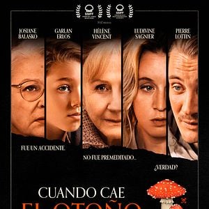 Foto Cuando cae el otoño