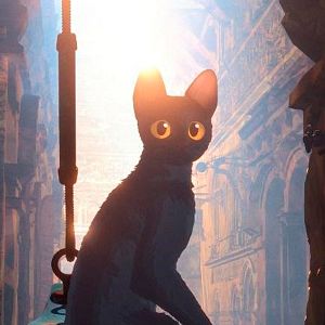 Foto Flow, un mundo que salvar