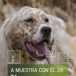 Foto A muestra con el 28