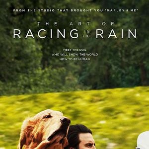 Foto El arte de vivir bajo la lluvia