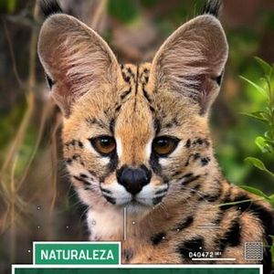 Foto Zulú Land Proyecto Loziba