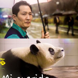 Foto My Dearest Fu Bao