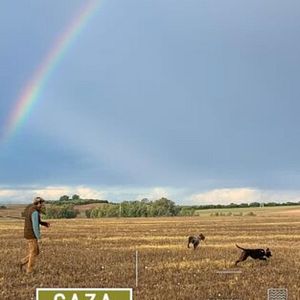 Foto Certeros Ballesteros: Codornices y perdices en mano