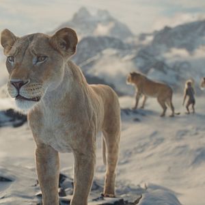 Foto Mufasa: El rey león