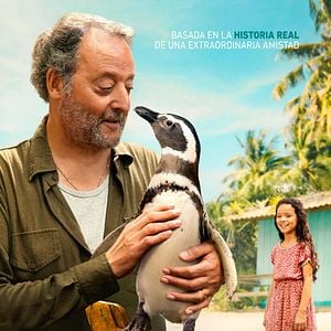 Foto Mi amigo el pingüino