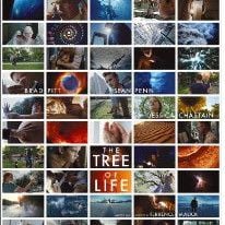 Foto El árbol de la vida