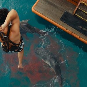 Foto Dangerous Animals