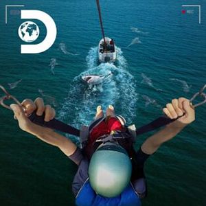 Foto ¡Pillados! Ataque tiburón