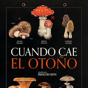 Foto Cuando cae el otoño