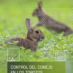 Foto Control del conejo en Los Torozos