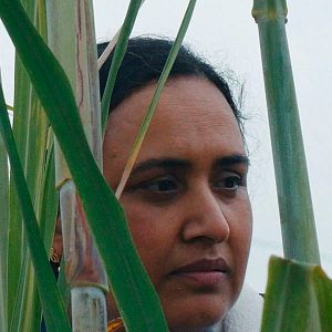 Foto Historias del buen valle