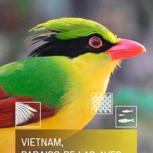 Foto Vietnam, paraíso de las aves