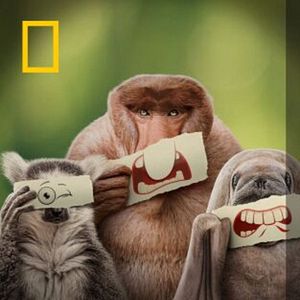 Foto Perdedores y salvajes