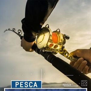 Foto Curri en la bahía de Cádiz