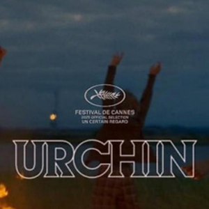 Foto Urchin
