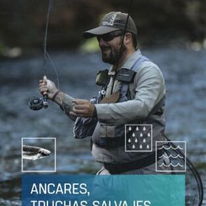 Foto Ancares, truchas salvajes