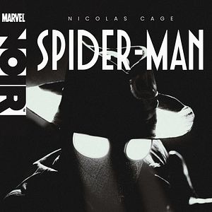 Foto Spider-Noir