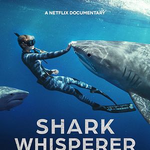 Foto Encantadora de tiburones