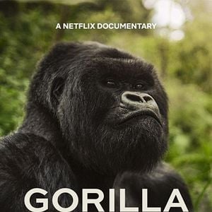 Foto Una historia de gorilas contada por David Attenborough