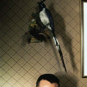 Foto Psycho (Psicosis)