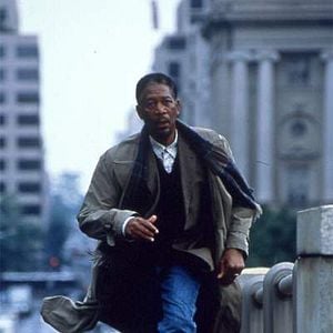 Foto La hora de la araña