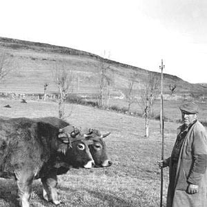 Foto Raymond Depardon