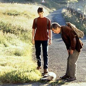 Foto Todos los animales pequeños