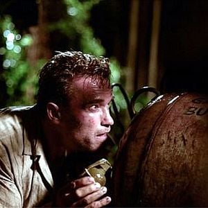 Foto Daño colateral