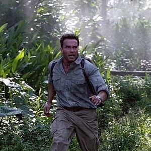 Foto Daño colateral