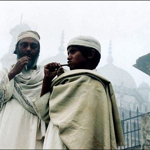 Foto El pájaro de arcilla