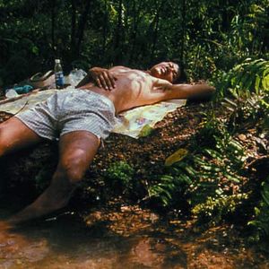 Foto Blissfully Yours