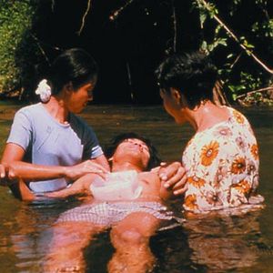 Foto Blissfully Yours