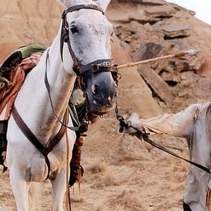 Foto Lost in La Mancha