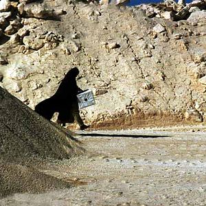 Foto El voto es secreto