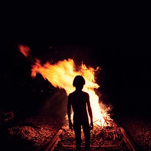 Foto El tiempo del lobo