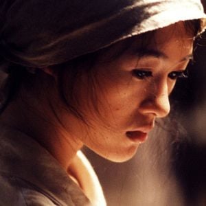 Foto Purple butterfly