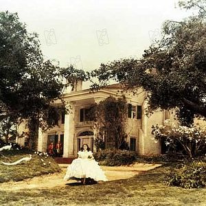 Foto Lo que el viento se llevó