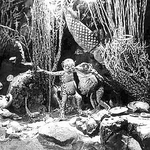 Foto Ladislas Starewitch